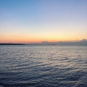 Meet your Posher, Vivian